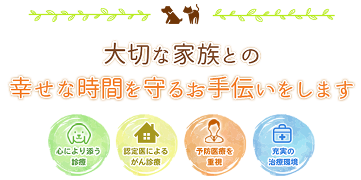 高知市・松宮動物病院