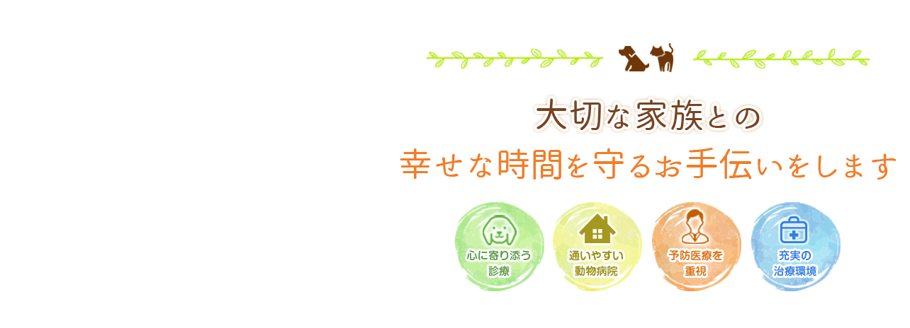 高知市・松宮動物病院